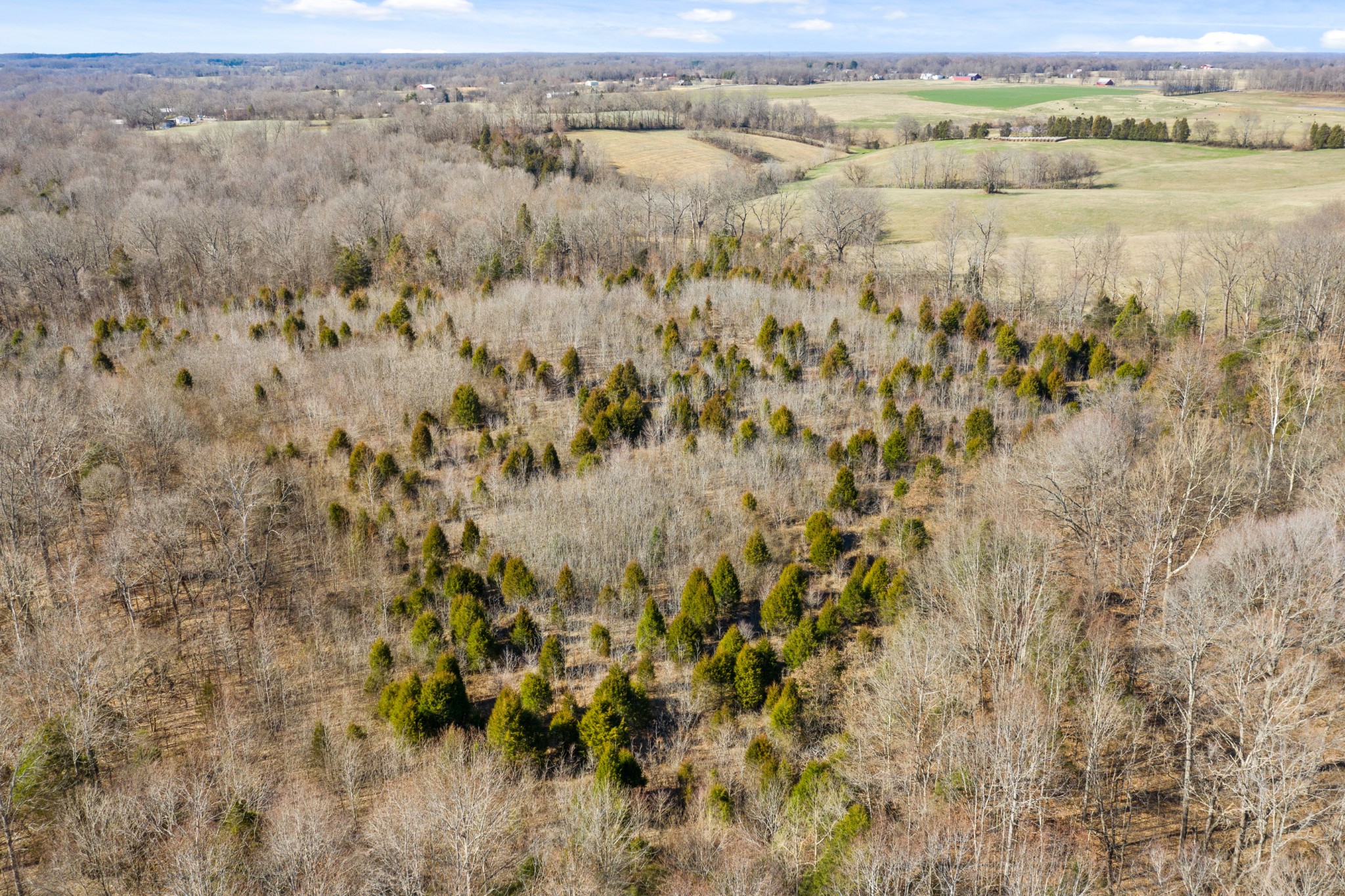 0 Battle Creek Road Springfield, TN 37172 - Photo 12 of 20 a view of a dry yard