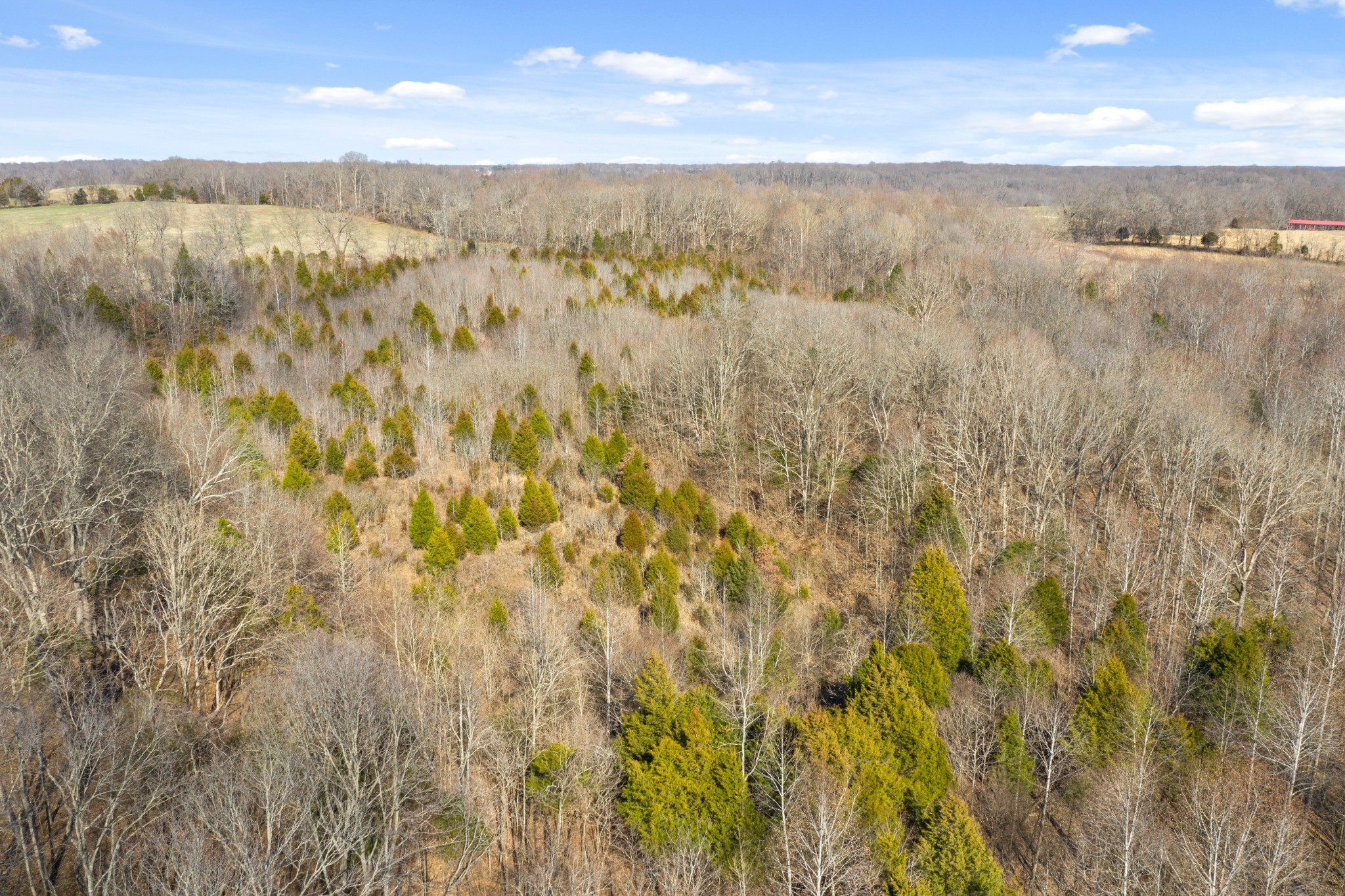 0 Battle Creek Road Springfield, TN 37172 - Photo 14 of 20 a view of an outdoor space and a lake view