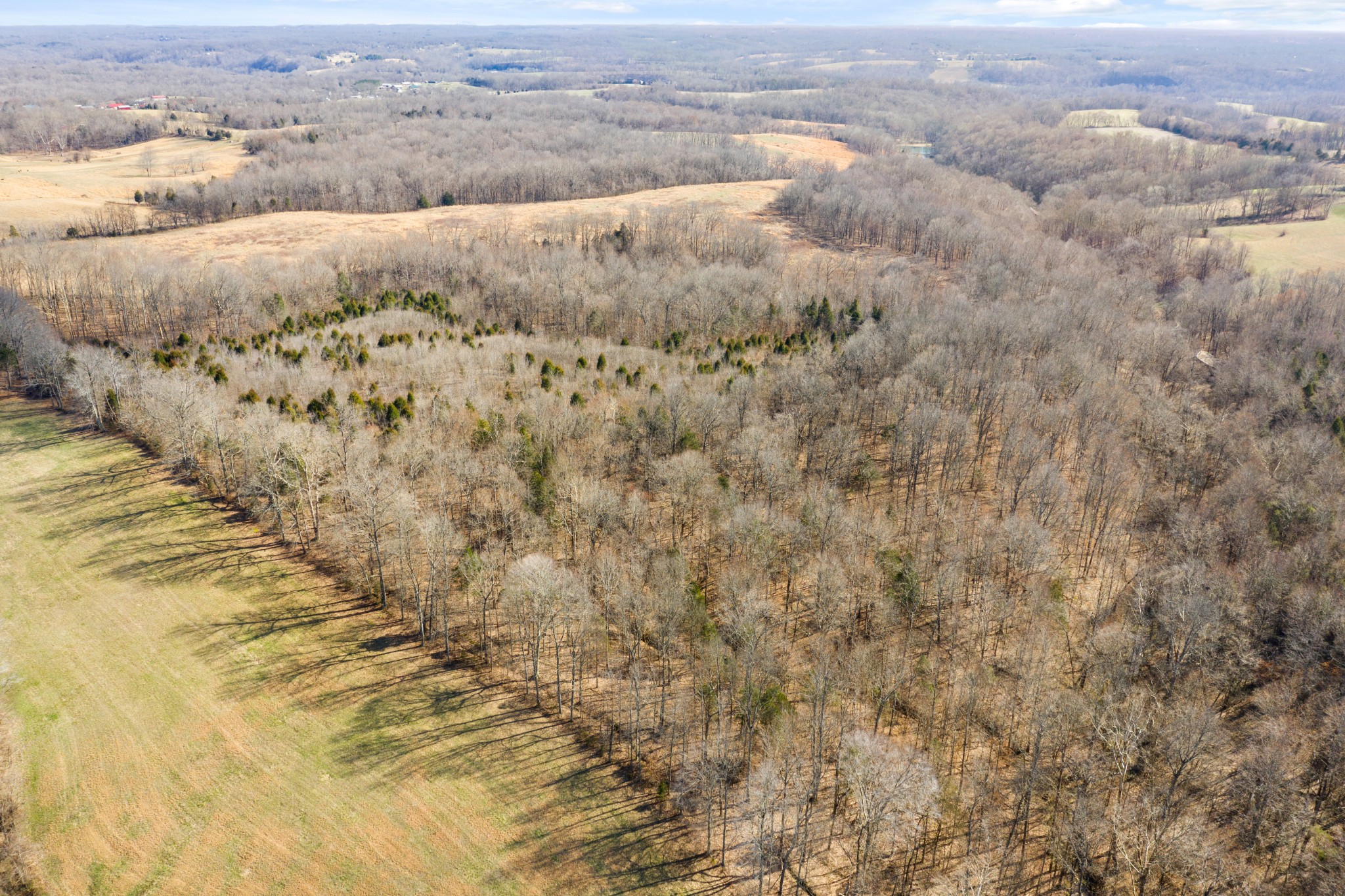 0 Battle Creek Road Springfield, TN 37172 - Photo 15 of 20 a view of beach and ocean