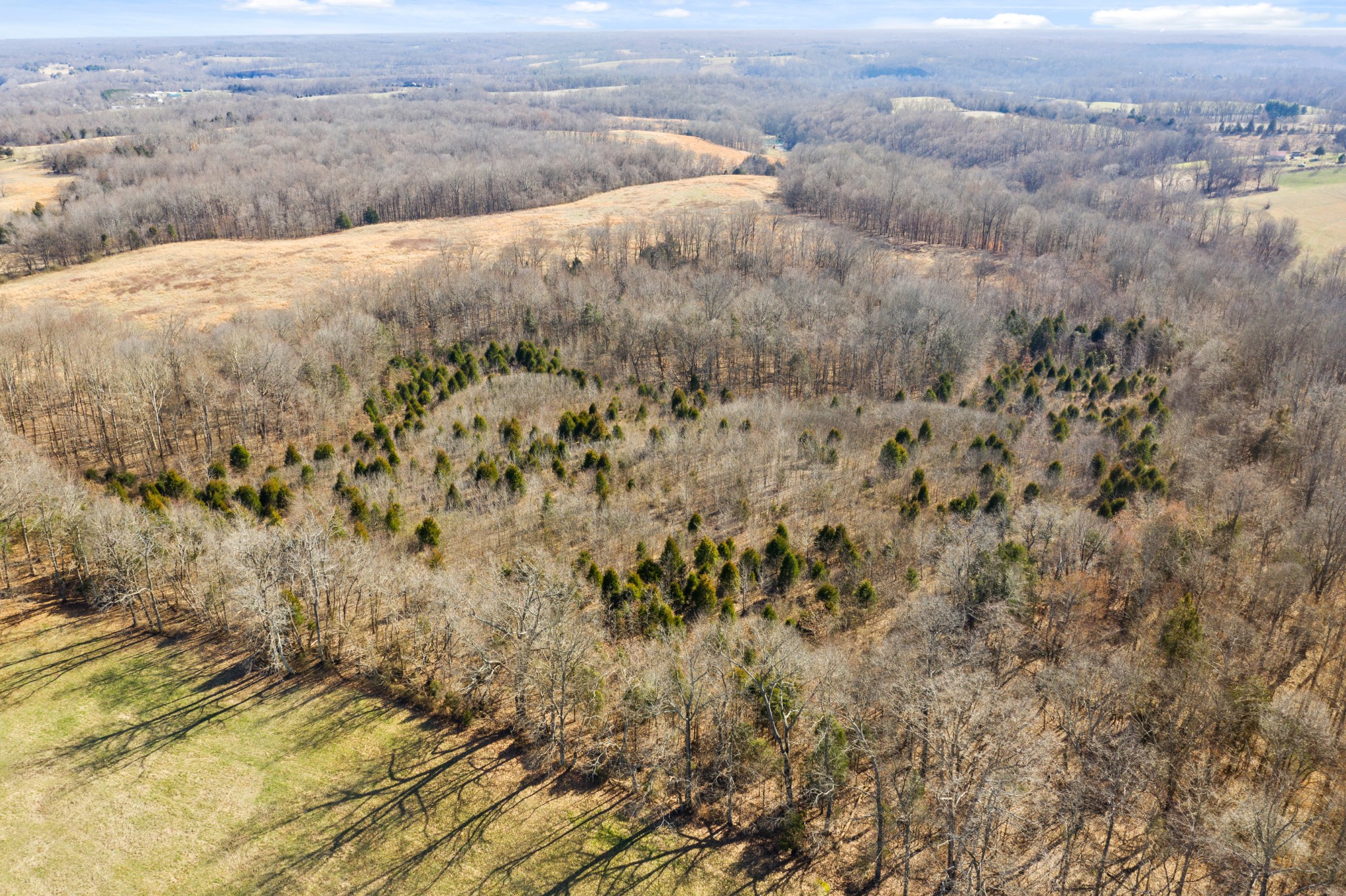 0 Battle Creek Road Springfield, TN 37172 - Photo 16 of 20 a view of a dry yard
