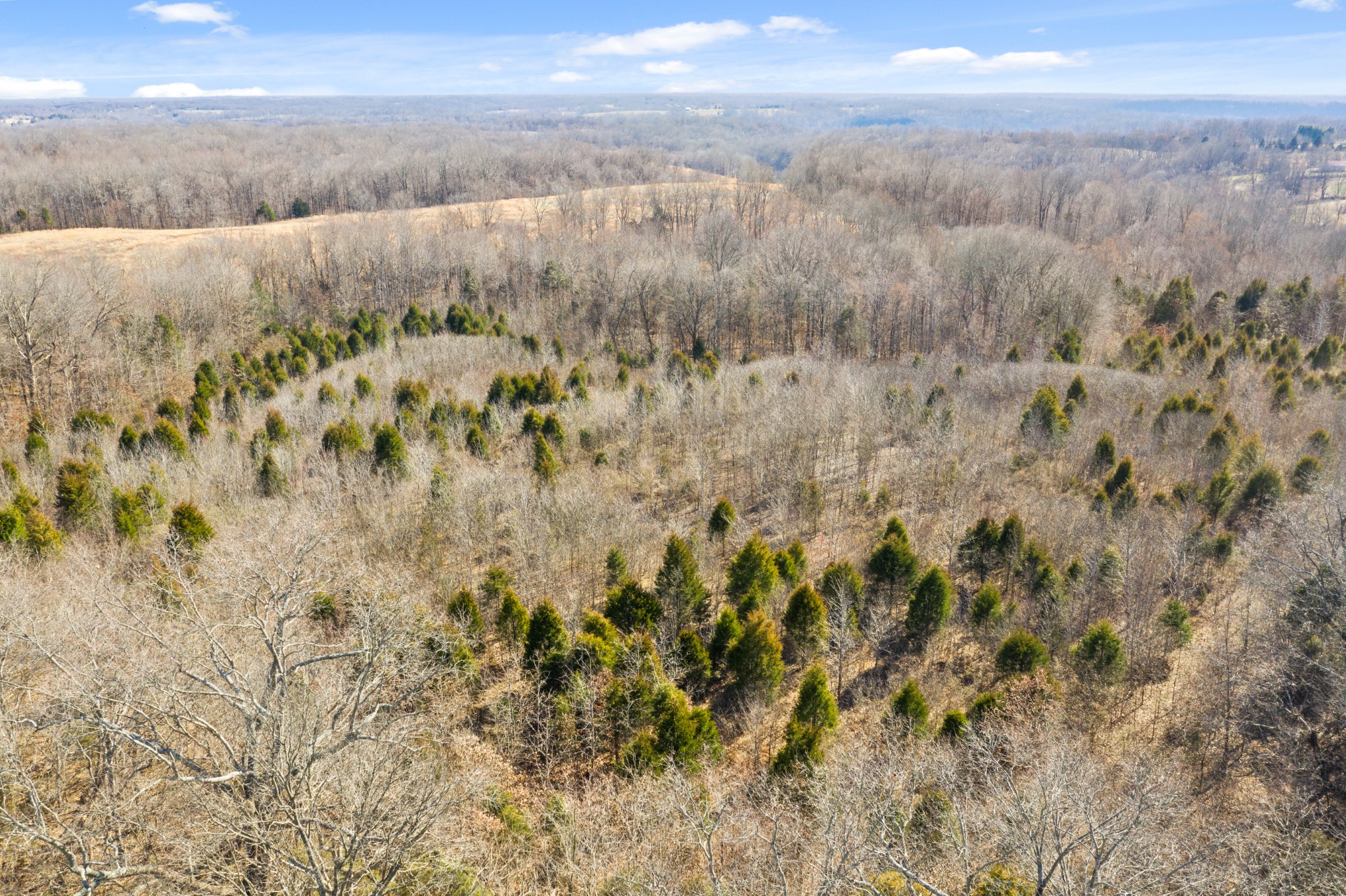 0 Battle Creek Road Springfield, TN 37172 - Photo 17 of 20 a view of beach and mountain