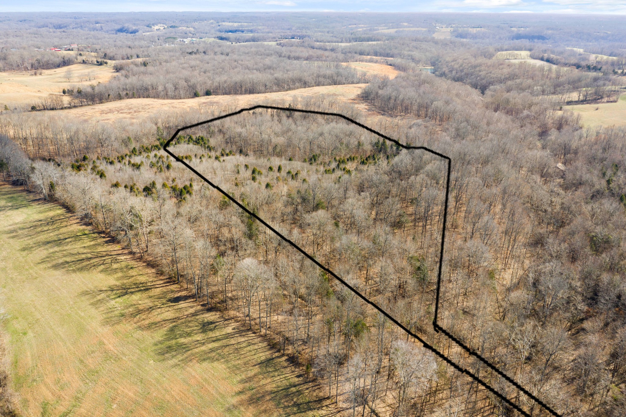 0 Battle Creek Road Springfield, TN 37172 - Photo 3 of 20 a view of a terrace view