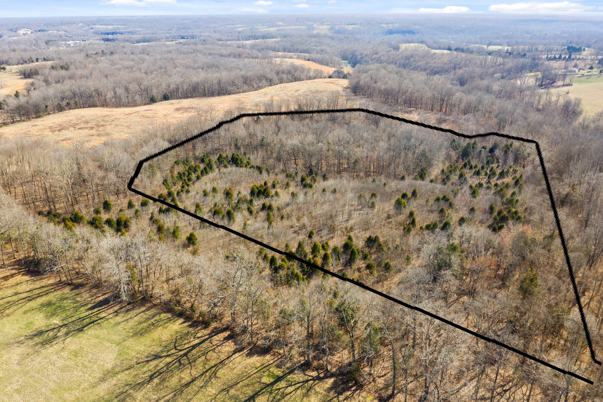 0 Battle Creek Road Springfield, TN 37172 - Photo 4 of 20 a view of a lake view