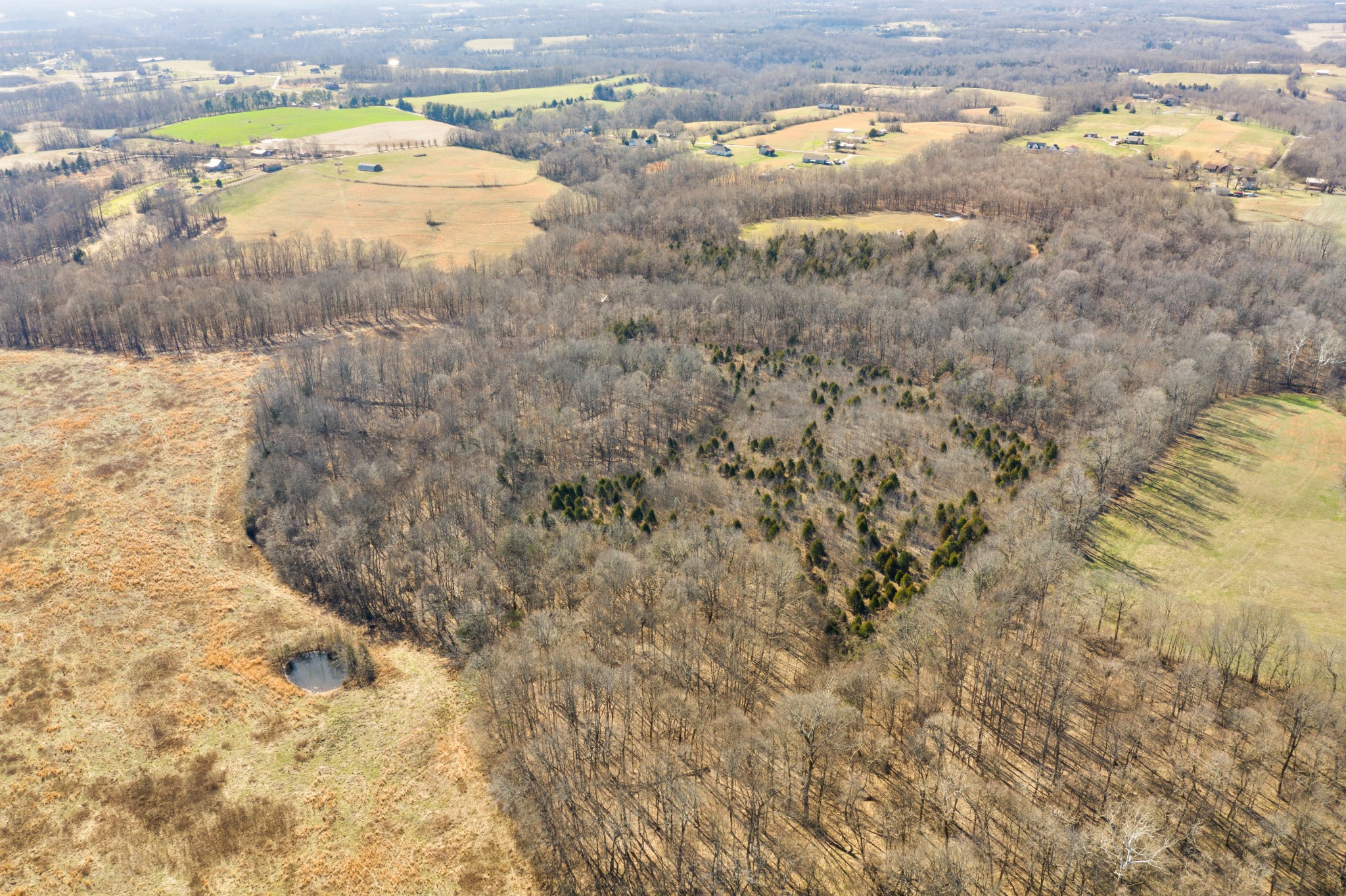 0 Battle Creek Road Springfield, TN 37172 - Photo 8 of 20 a view of ocean view with beach