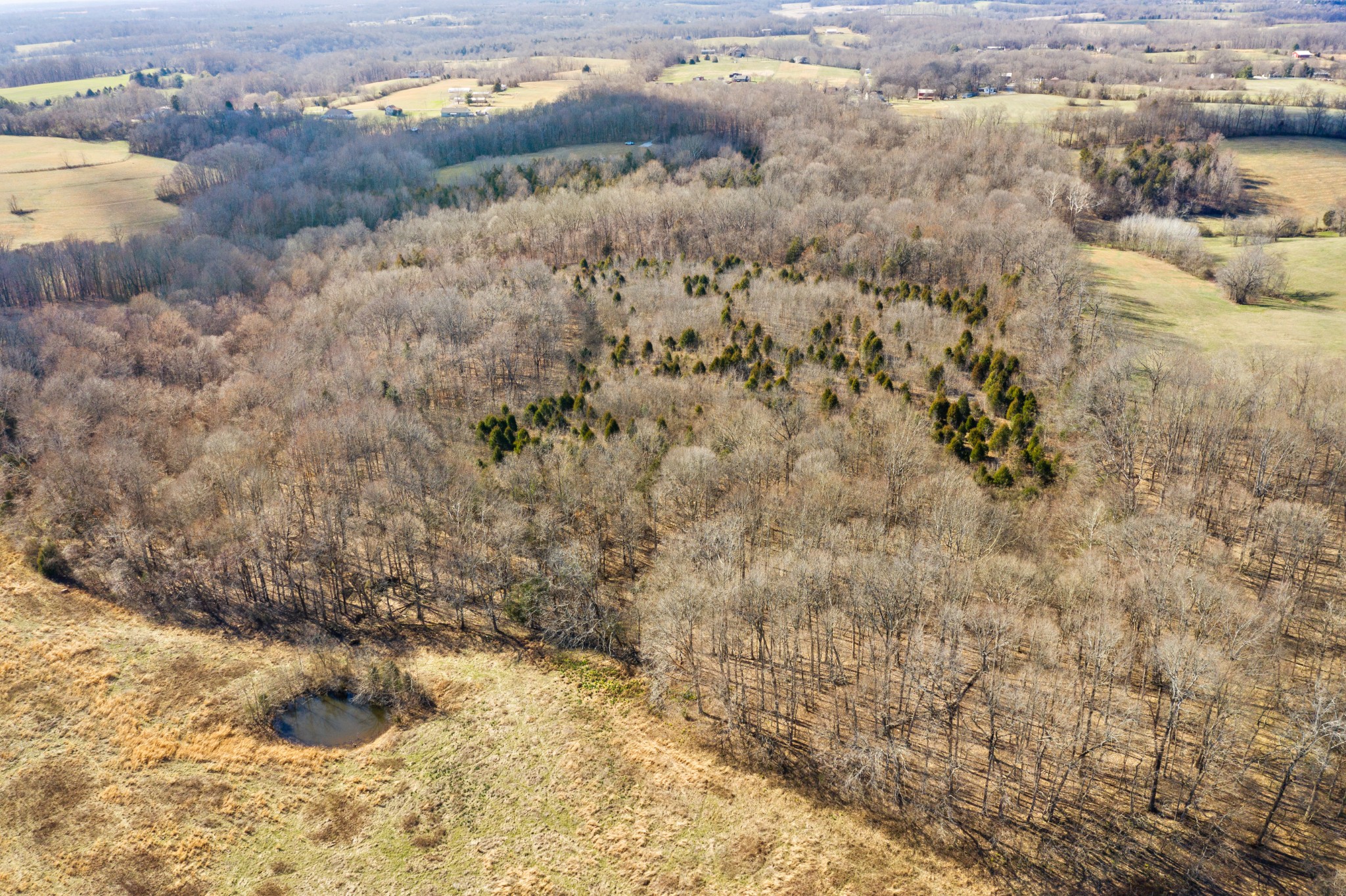 0 Battle Creek Road Springfield, TN 37172 - Photo 9 of 20