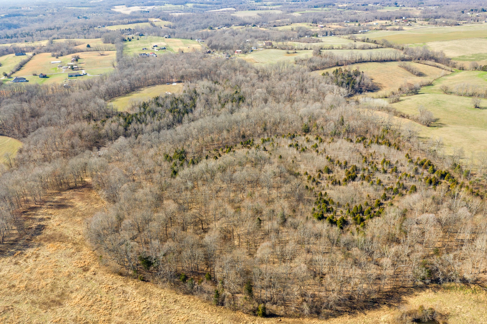 0 Battle Creek Road Springfield, TN 37172 - Photo 10 of 20 a view of a yard