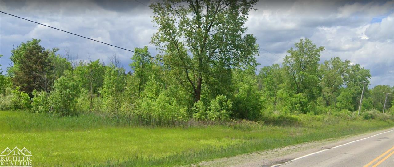 Vacant Rattle Run Road St. Clair, MI 48079 - Photo 1 of 1 31385047.JPG