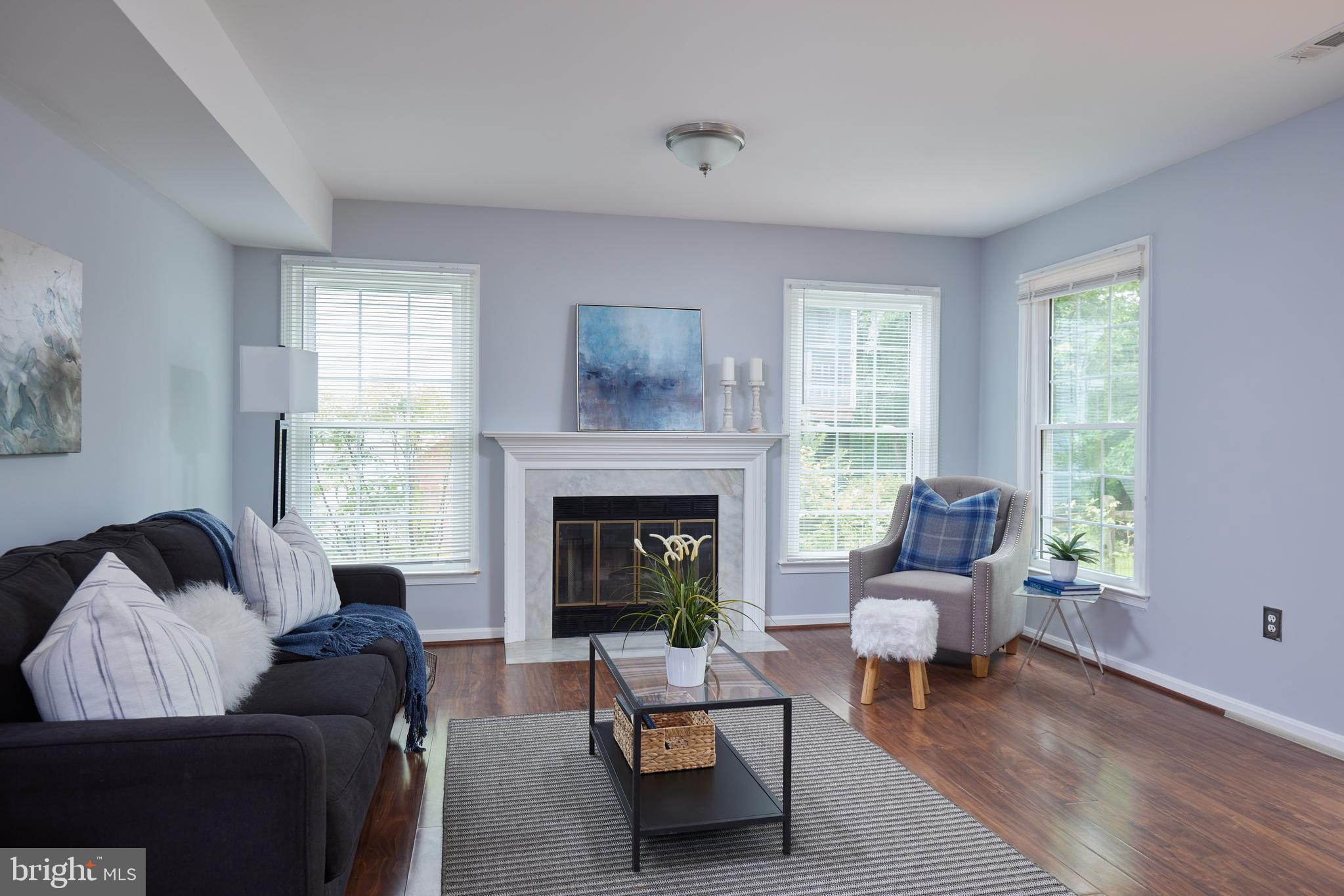 2723 Deer Ridge Drive Silver Spring, MD 20904 - Photo 6 of 45 a living room with furniture and a fireplace