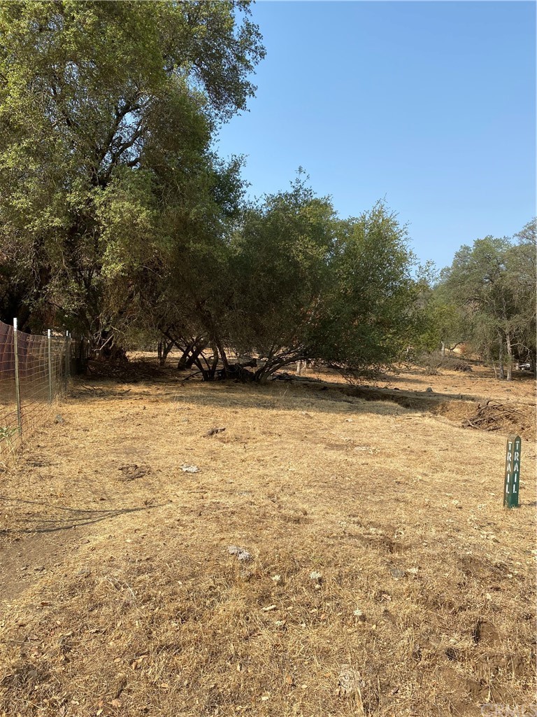 0 Elwood Road Sanger, CA 93657 - Photo 2 of 15 Gallery Image 2