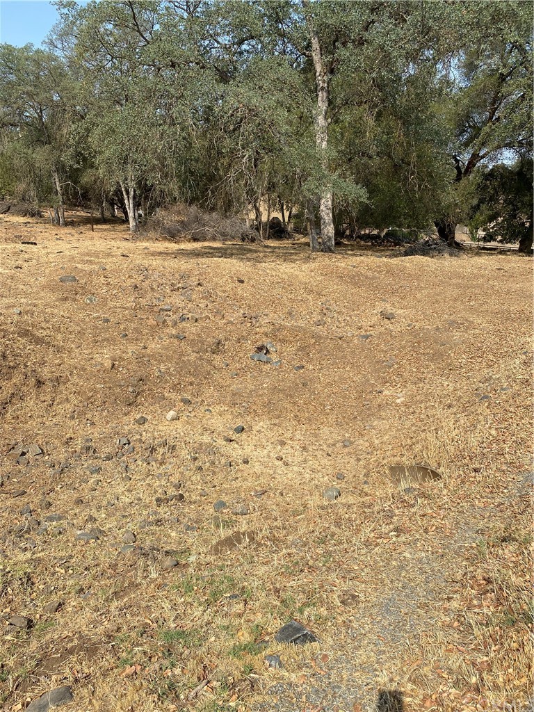 0 Elwood Road Sanger, CA 93657 - Photo 3 of 15 Gallery Image 3
