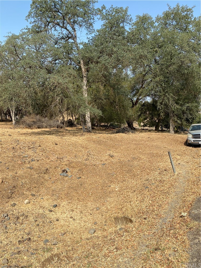 0 Elwood Road Sanger, CA 93657 - Photo 4 of 15 Gallery Image 4