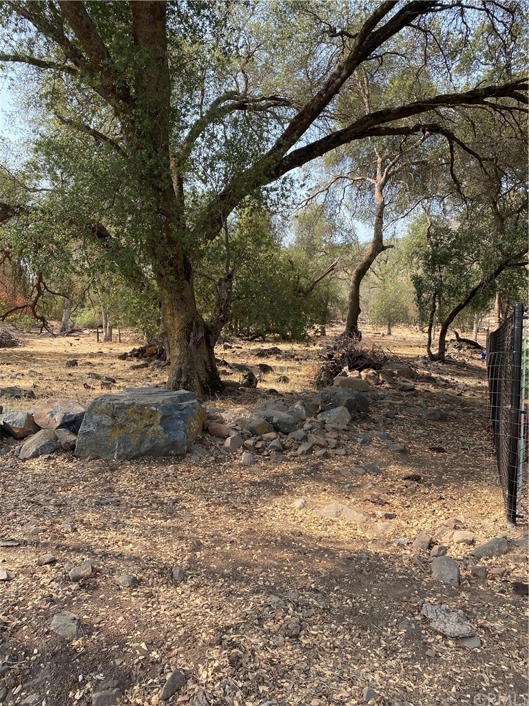 0 Elwood Road Sanger, CA 93657 - Photo 5 of 15 Gallery Image 5