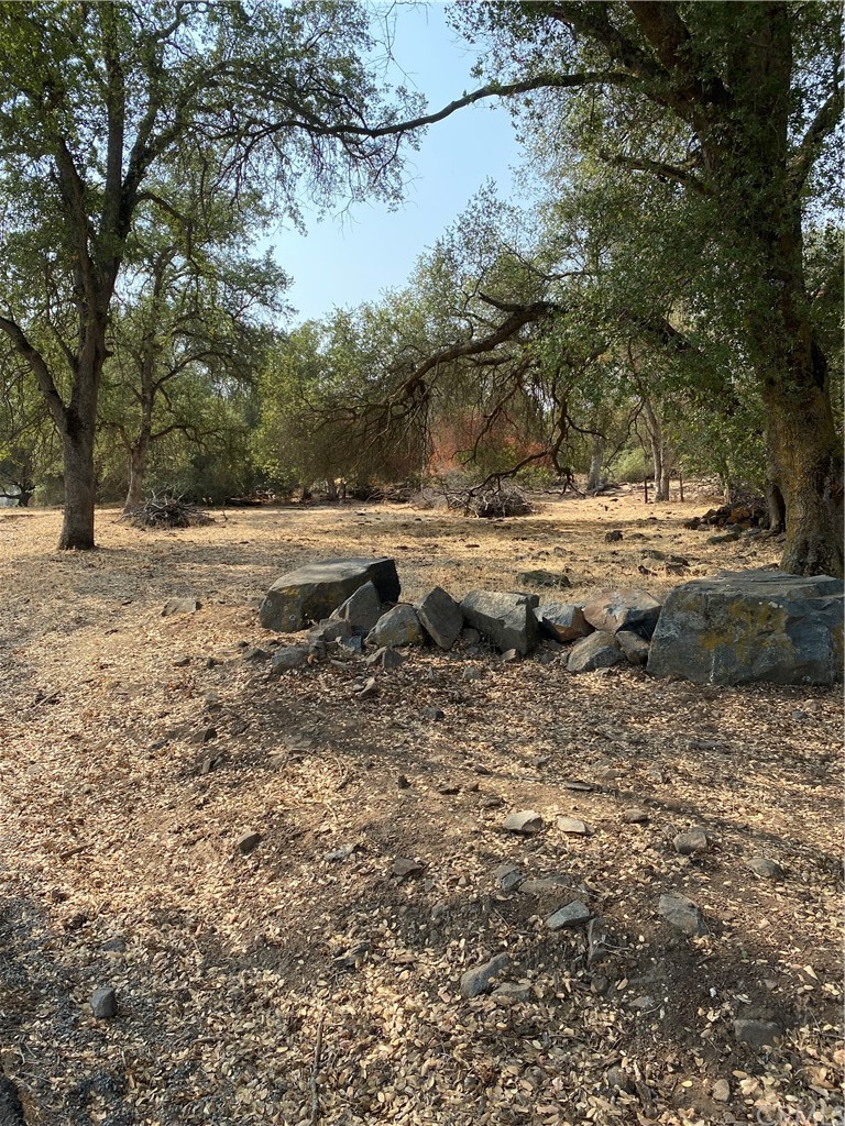 0 Elwood Road Sanger, CA 93657 - Photo 6 of 15 Gallery Image 6