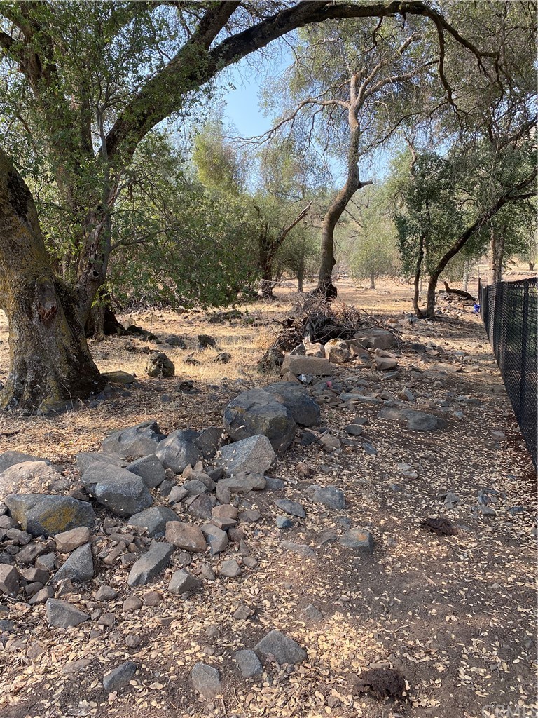 0 Elwood Road Sanger, CA 93657 - Photo 8 of 15 Gallery Image 8