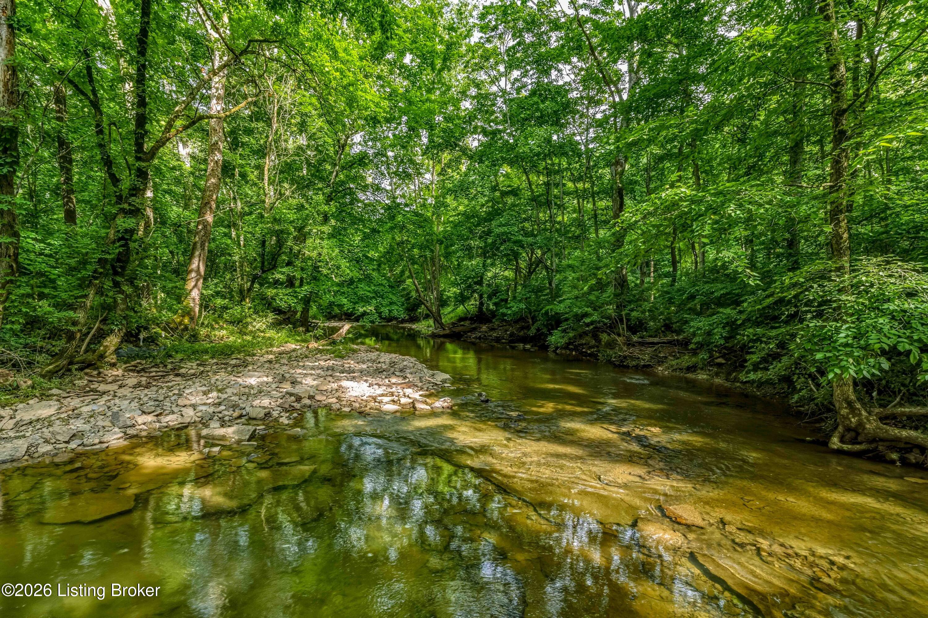 1795 Simpson Creek Road Bloomfield, KY 40008 - Photo 15 of 22 DSC09394