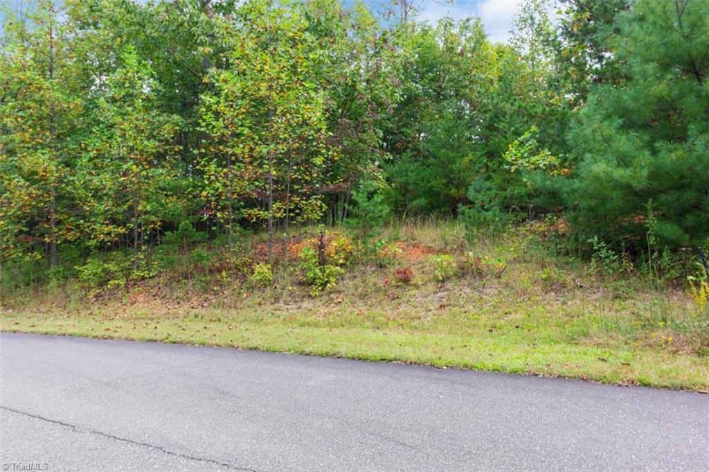 0 Ridge Run Road, Unit LOT 84 Boomer, NC 28606 - Photo 2 of 5