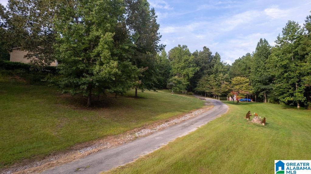 56230 North Highway 231 Oneonta, AL 35121 - Photo 16 of 62