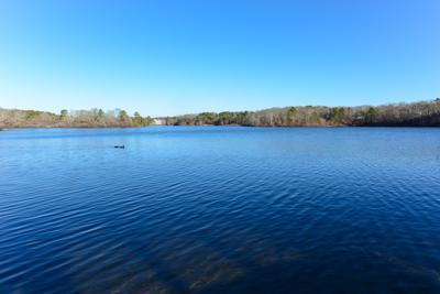 228 Huckins Neck Road Centerville, MA 02601 - Photo 19 of 19