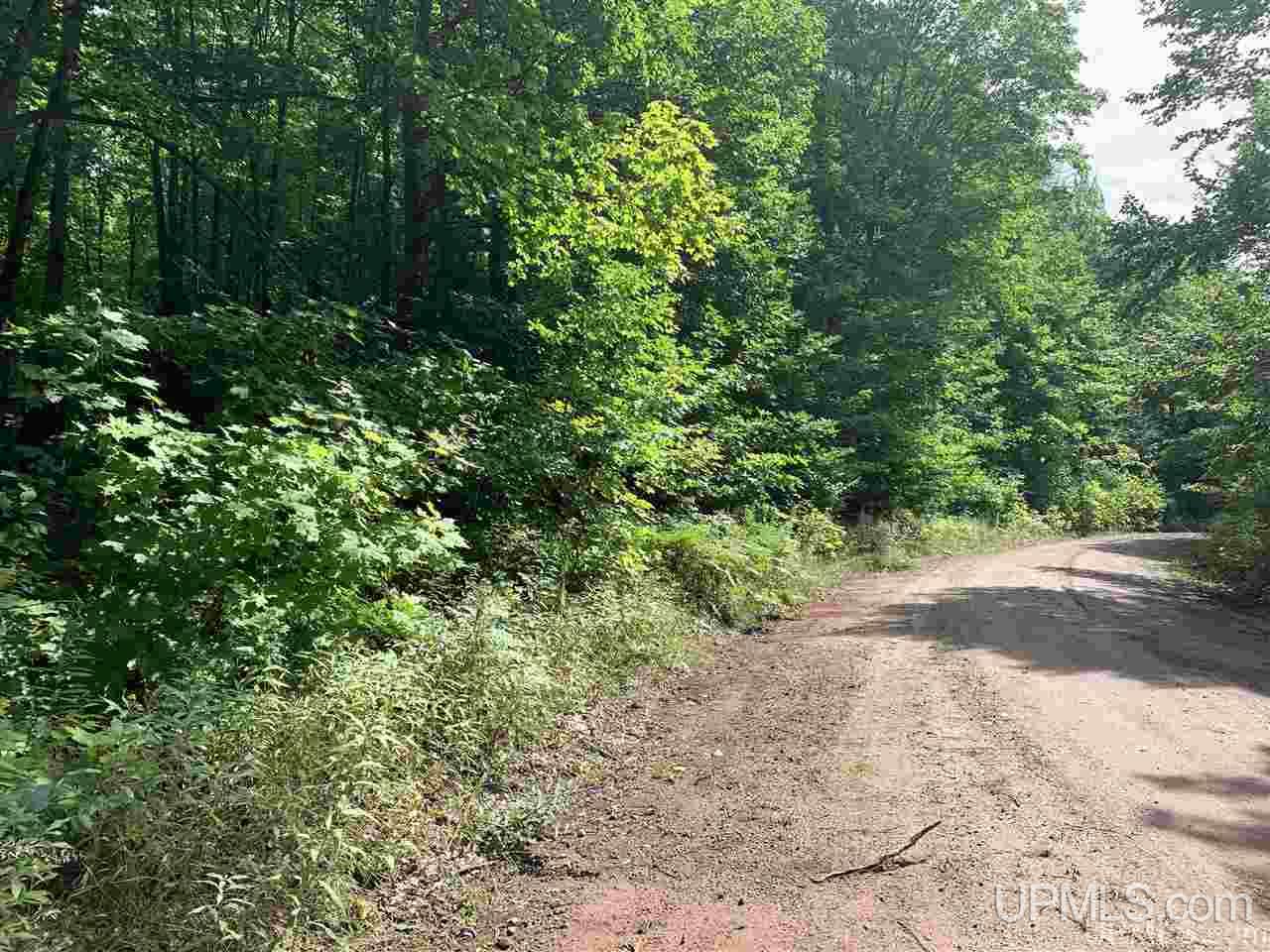 88-89 Blue Road Pelkie, MI 49958 - Photo 13 of 15