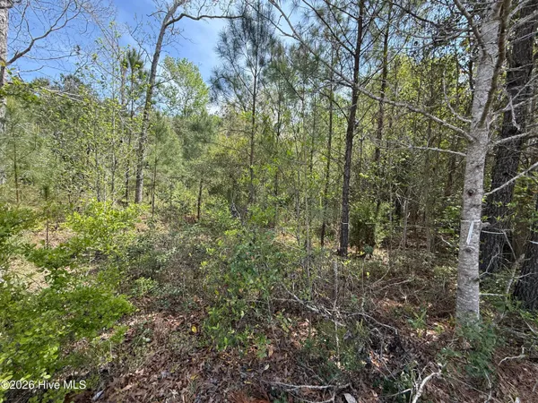 $55,000 | 2981 Lyndhurst Terrace Southwest, Shallotte, NC 28470