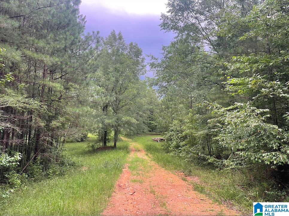 9 Acres, Unit 9 Sterrett, AL 35147 - Photo 3 of 8