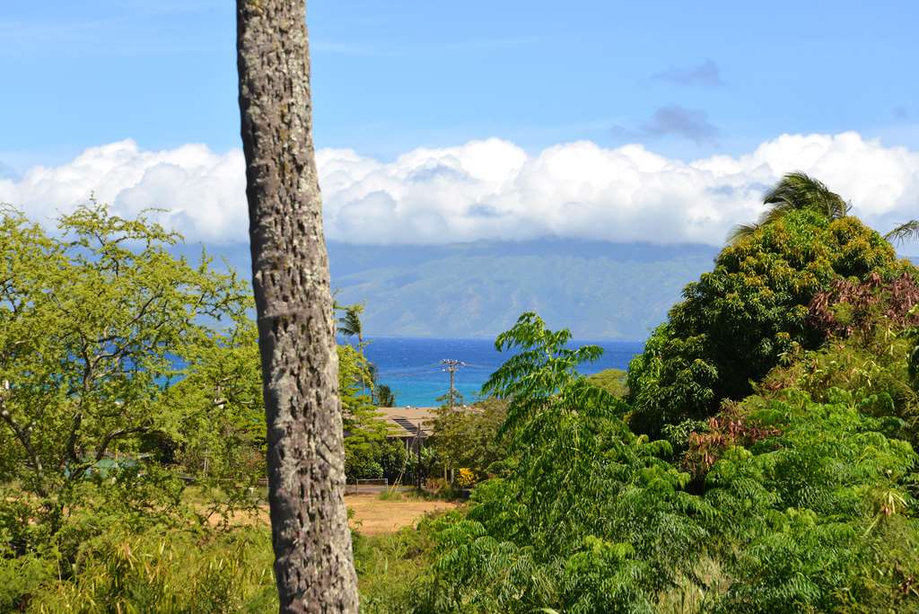 120 Hui Rd F, Unit 12D Lahaina, HI 96761 - Photo 1 of 25 Gallery Image 1