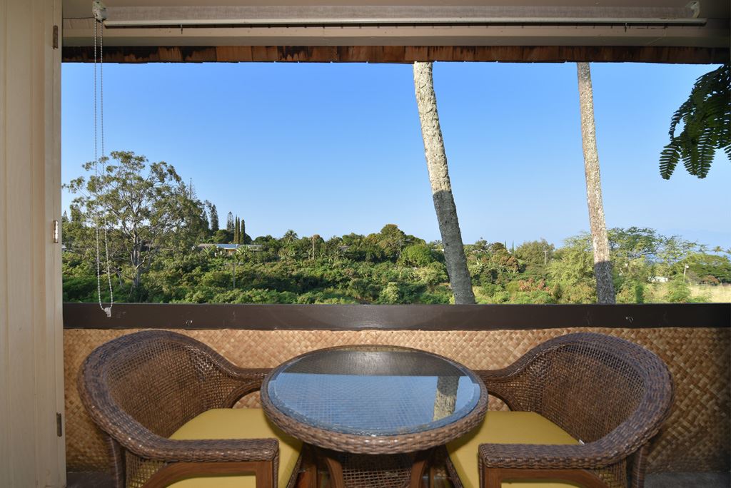 120 Hui Rd F, Unit 12D Lahaina, HI 96761 - Photo 19 of 25 Gallery Image 19