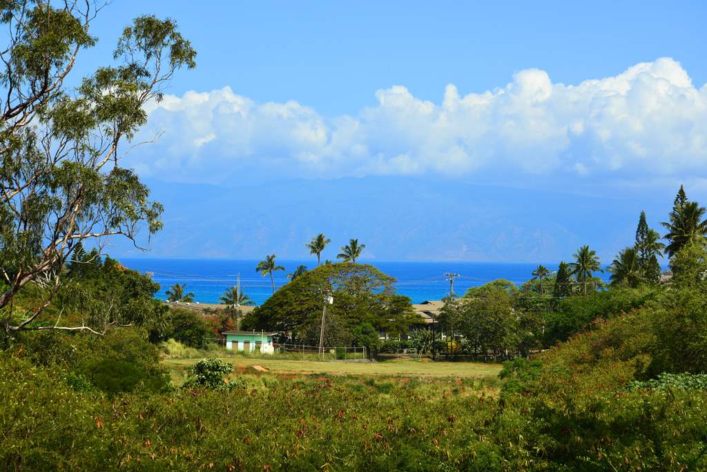 120 Hui Rd F, Unit 12D Lahaina, HI 96761 - Photo 25 of 25 Gallery Image 25