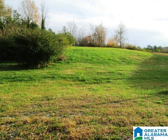 8068 Highway 11 Springville Al, Unit 1 Springville, AL 35146 - Photo 2 of 7
