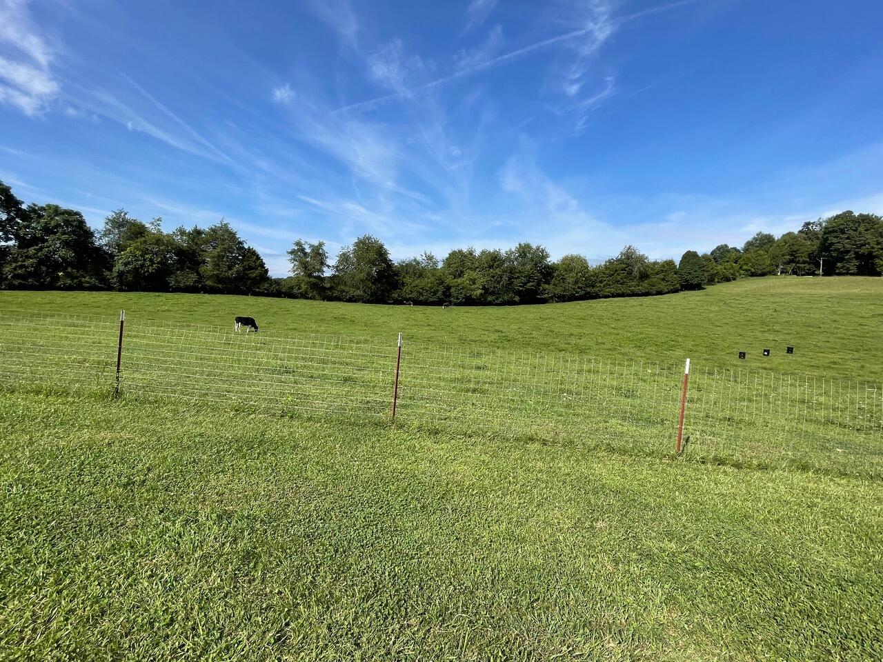 2025 Happy Valley Road Limestone, TN 37681 - Photo 28 of 34 land-view #27