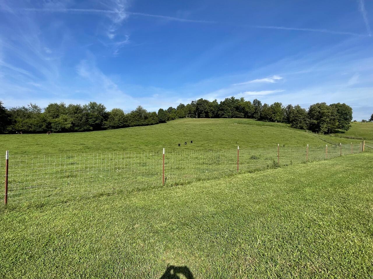 2025 Happy Valley Road Limestone, TN 37681 - Photo 29 of 34 land-view #28