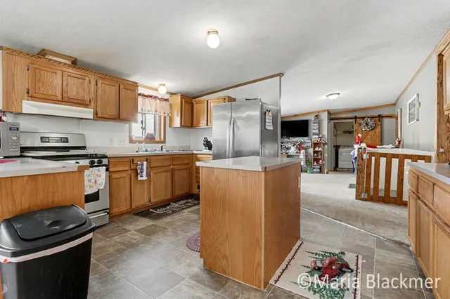 $315,000 | 1451 West Charles Road, Ionia, MI 48846