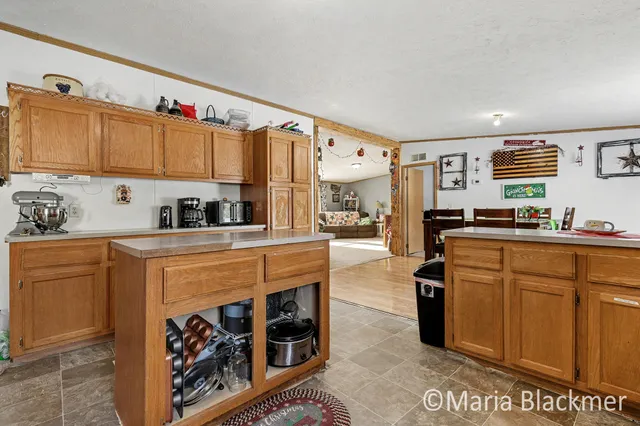 $315,000 | 1451 West Charles Road, Ionia, MI 48846