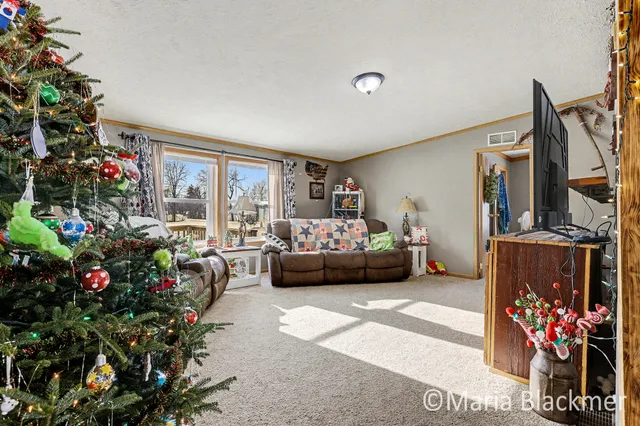 $315,000 | 1451 West Charles Road, Ionia, MI 48846