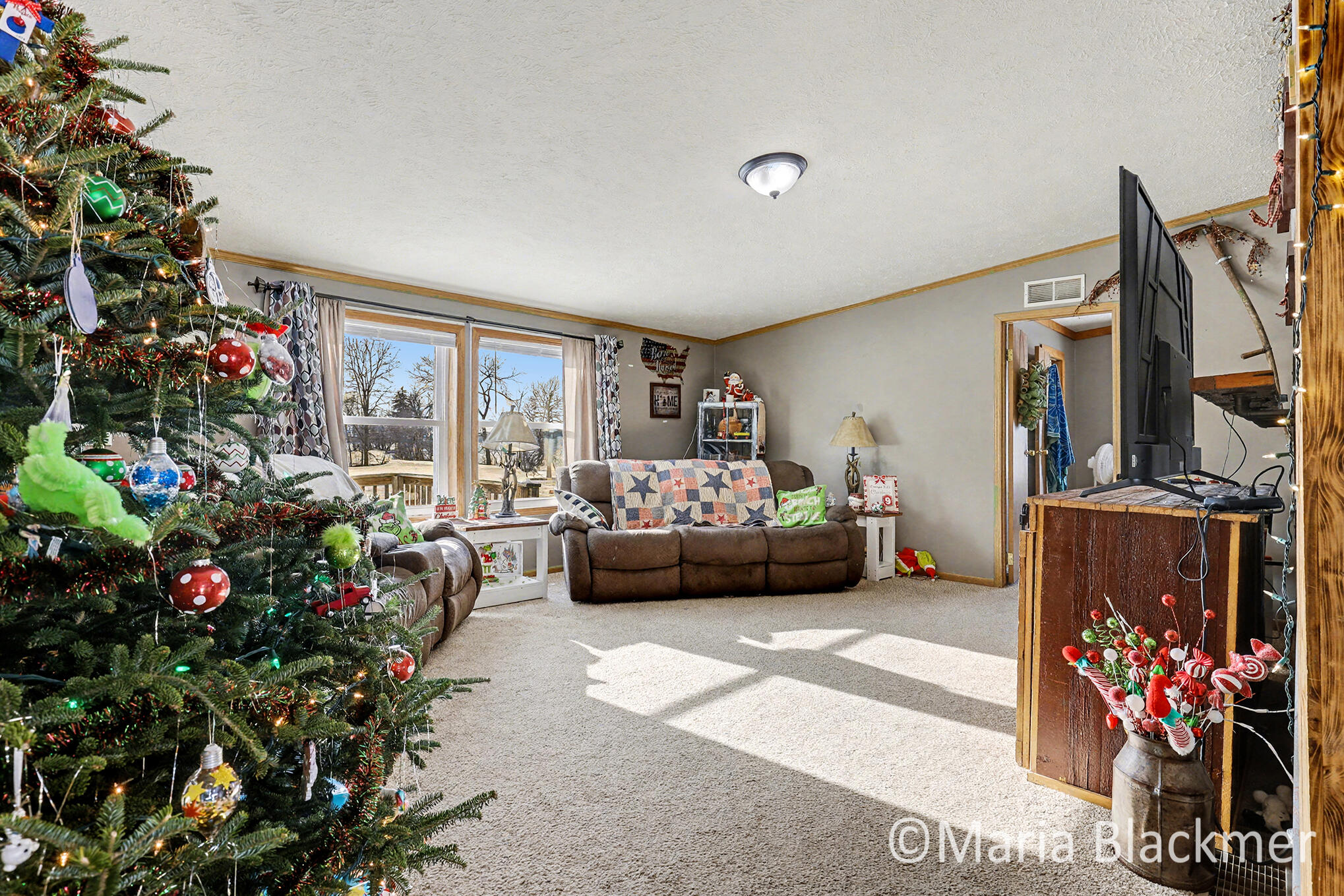 1451 West Charles Road Ionia, MI 48846 - Photo 17 of 31 IMG_4123