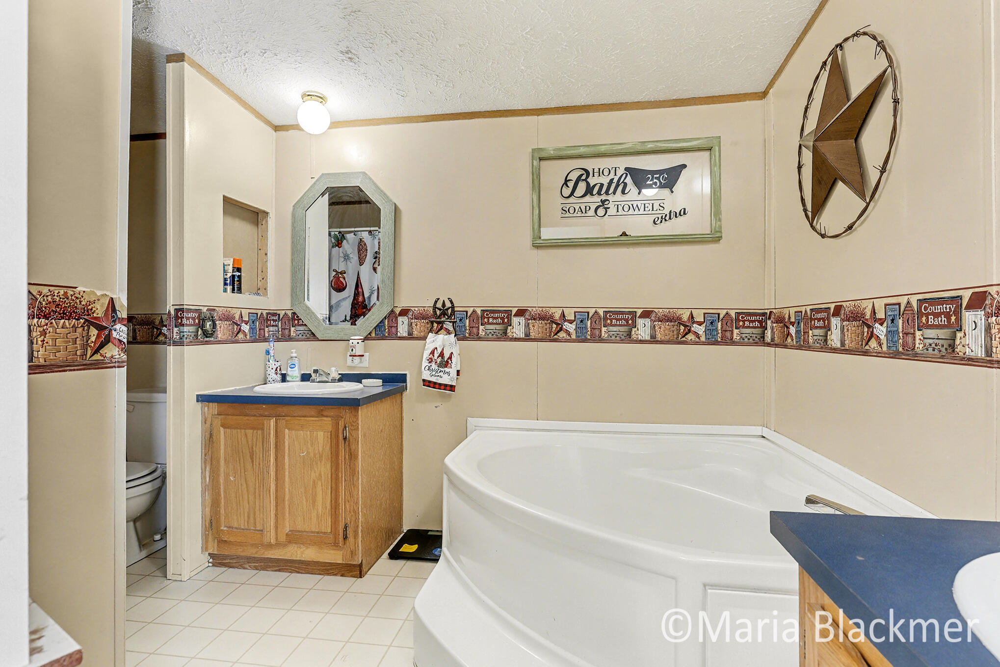 1451 West Charles Road Ionia, MI 48846 - Photo 22 of 31 IMG_4147