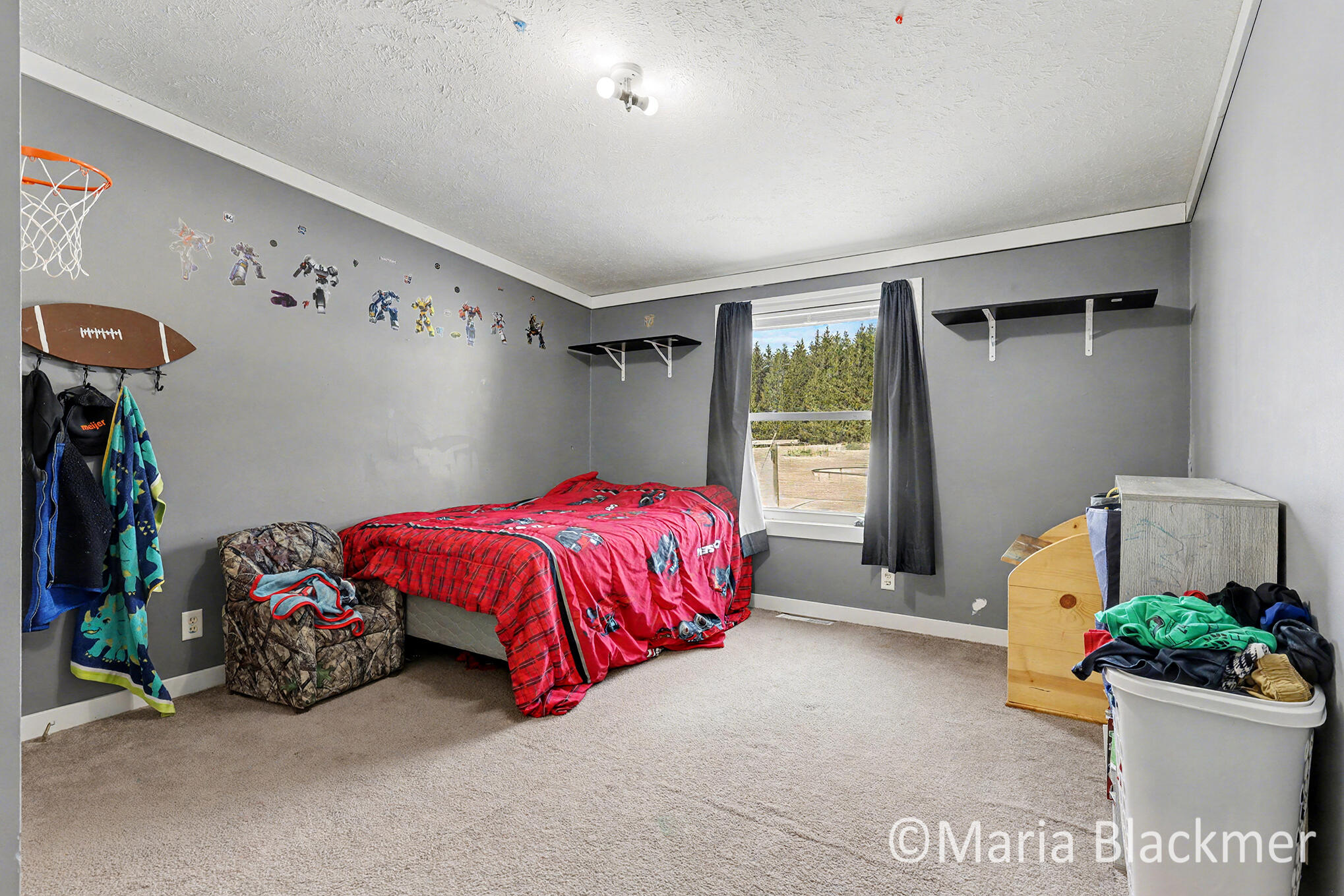 1451 West Charles Road Ionia, MI 48846 - Photo 23 of 31 IMG_4118