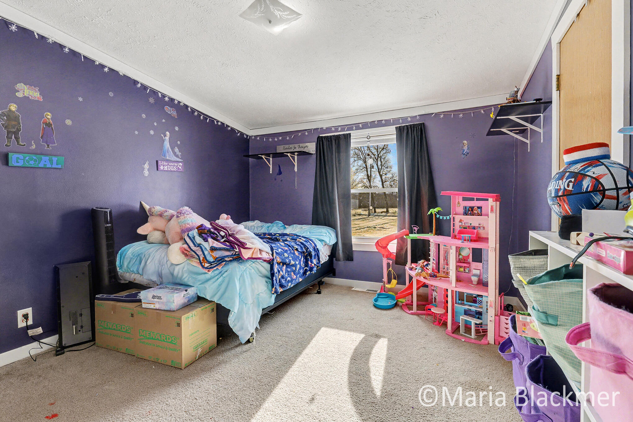 1451 West Charles Road Ionia, MI 48846 - Photo 24 of 31 IMG_4058