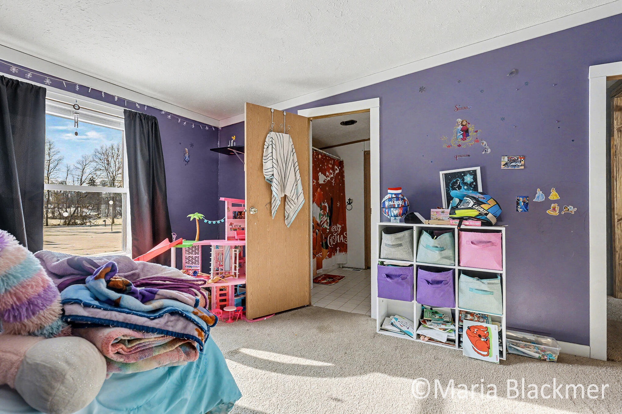 1451 West Charles Road Ionia, MI 48846 - Photo 25 of 31 IMG_4063