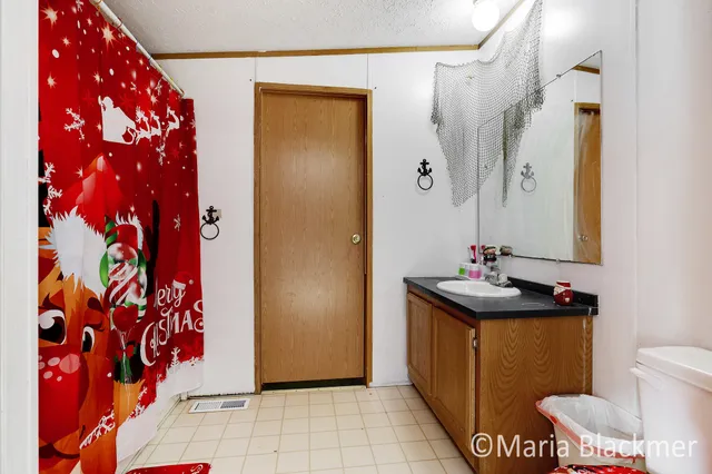 $315,000 | 1451 West Charles Road, Ionia, MI 48846