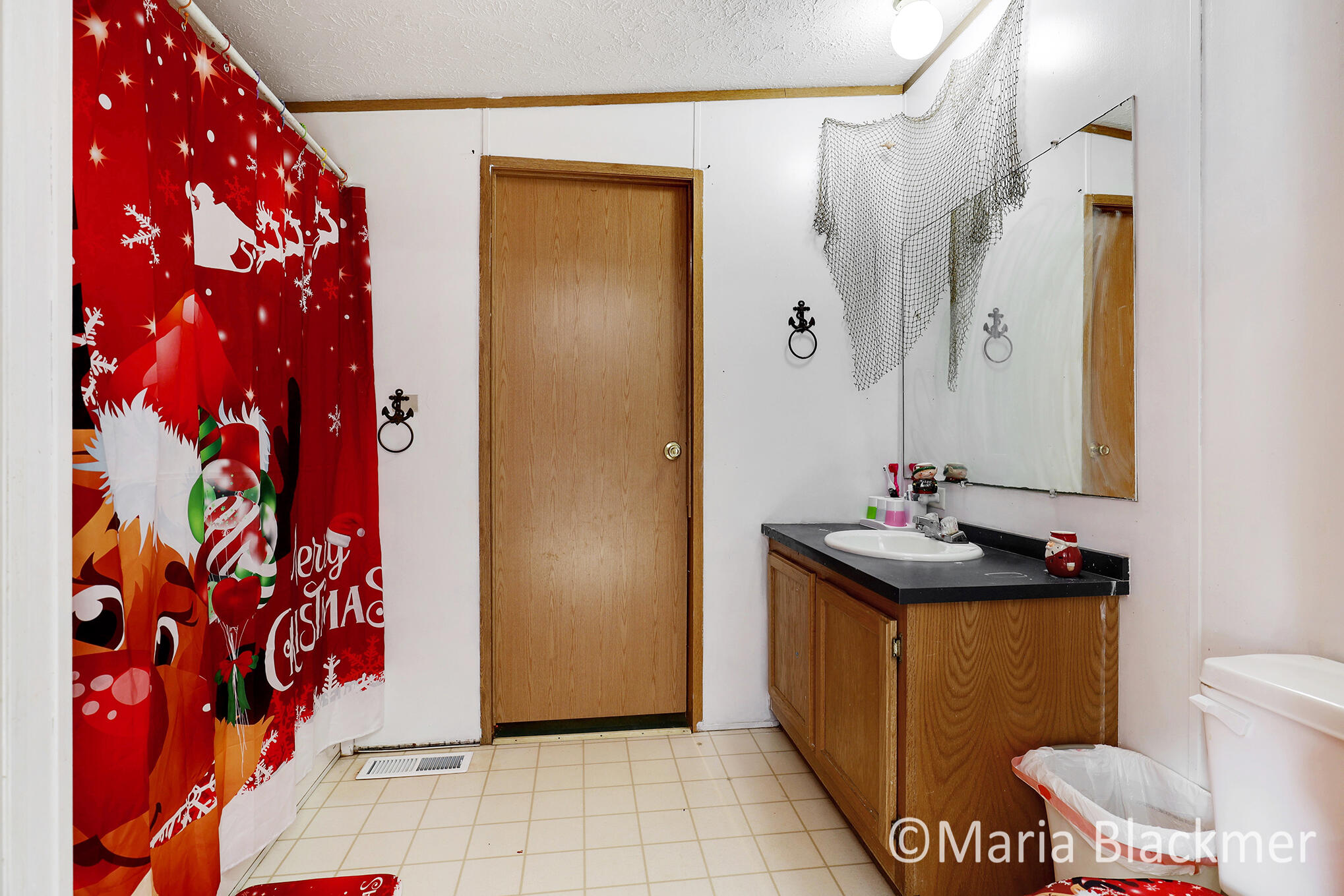 1451 West Charles Road Ionia, MI 48846 - Photo 26 of 31 IMG_4067