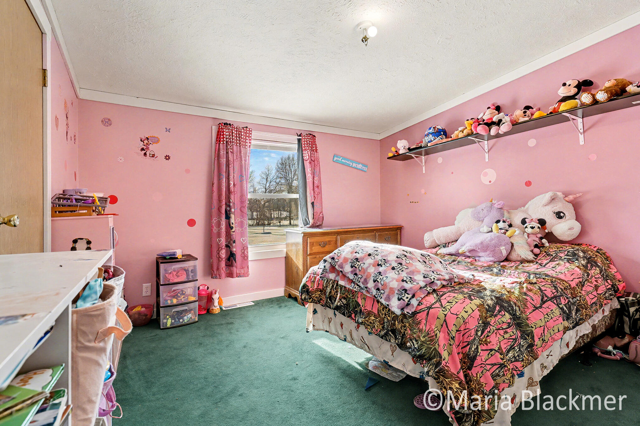 1451 West Charles Road Ionia, MI 48846 - Photo 27 of 31 IMG_4073