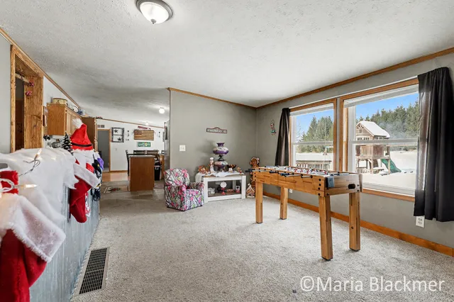 $315,000 | 1451 West Charles Road, Ionia, MI 48846