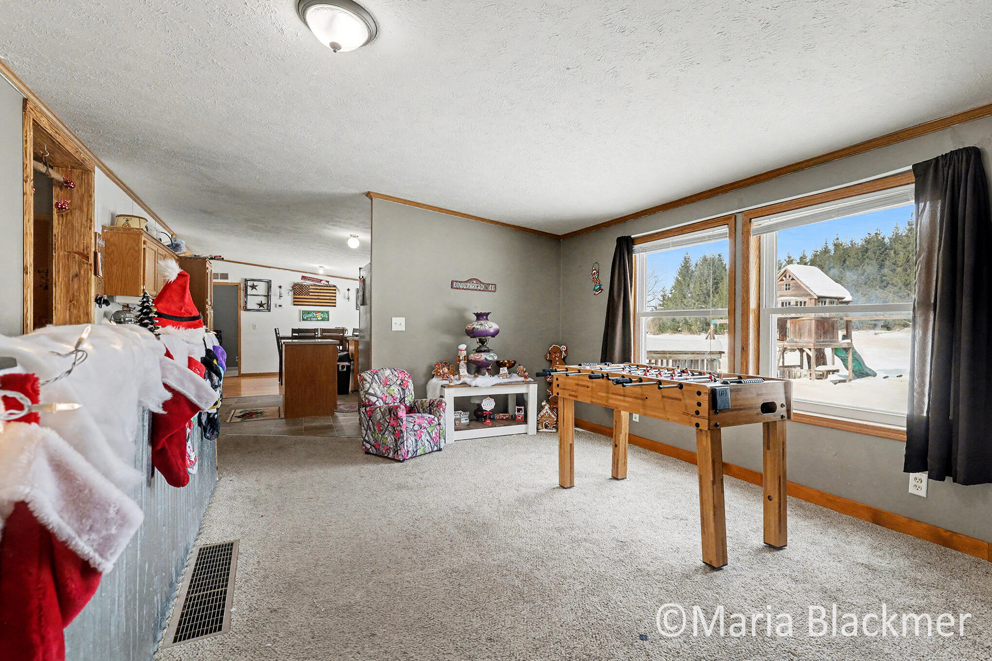 1451 West Charles Road Ionia, MI 48846 - Photo 10 of 31 IMG_4052