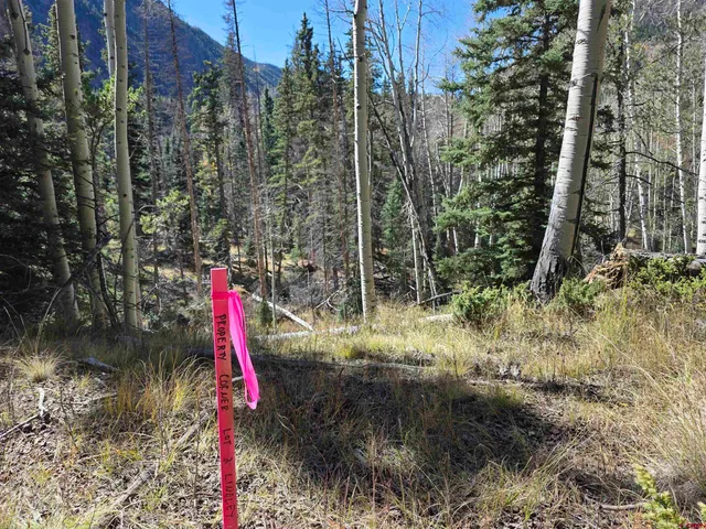 a front view of a house with a yard and fountain