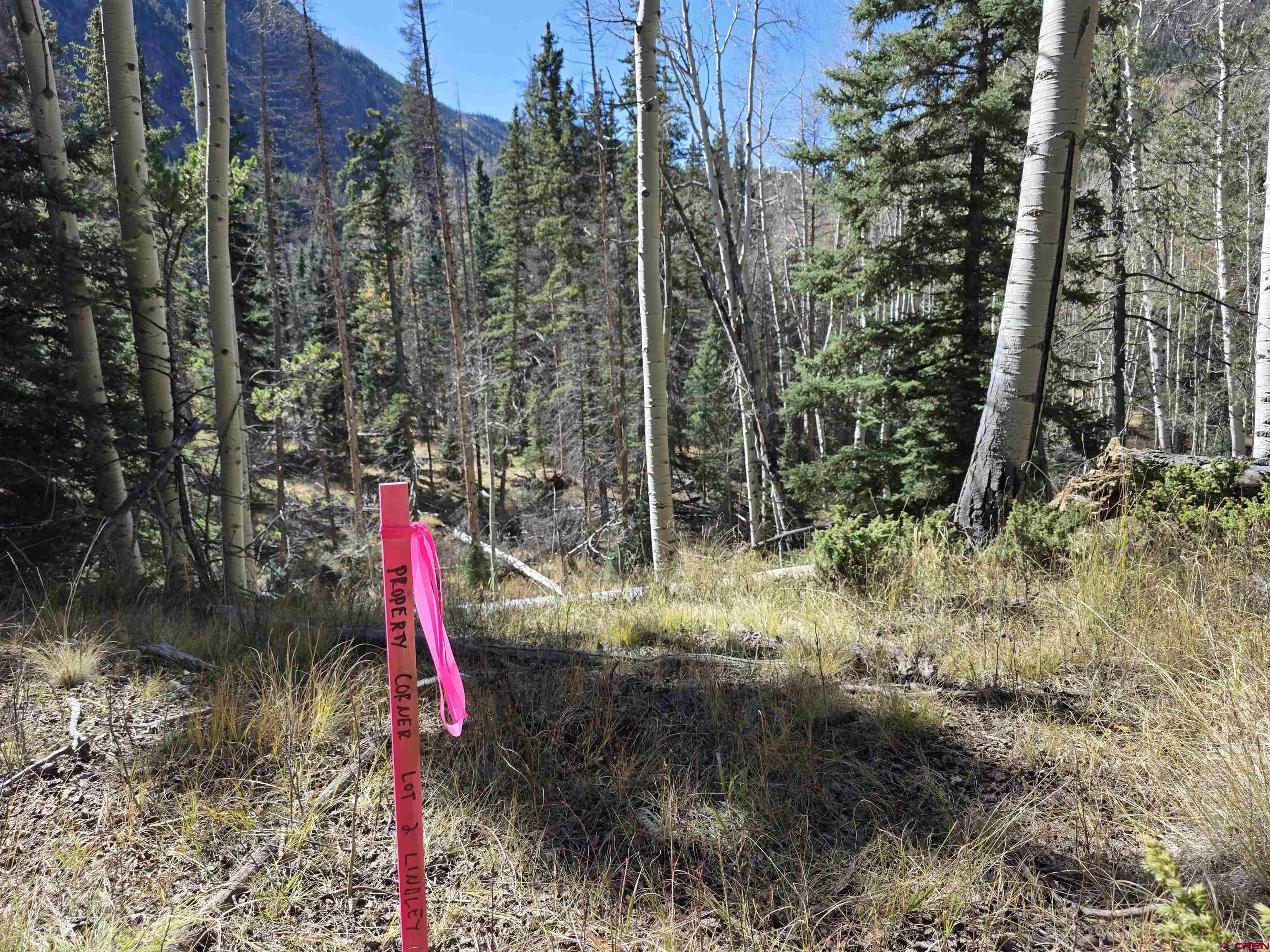 a front view of a house with a yard and fountain