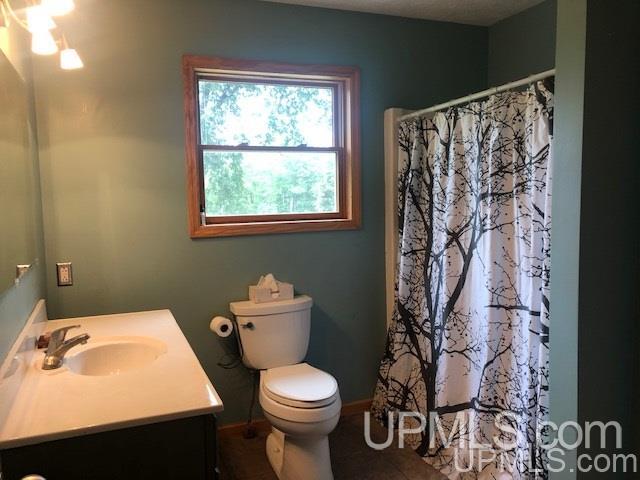 5625 Akkala Road Eben Junction, MI 49825 - Photo 19 of 47
