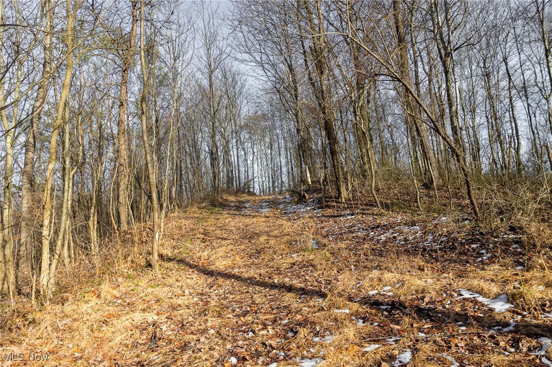9 County Road New Matamoras, OH 45767 - Photo 19 of 48 View of local wilderness