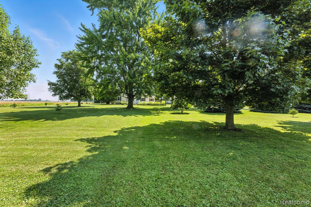 3747 Brown Road Croswell, MI 48422 - Photo 30 of 36
