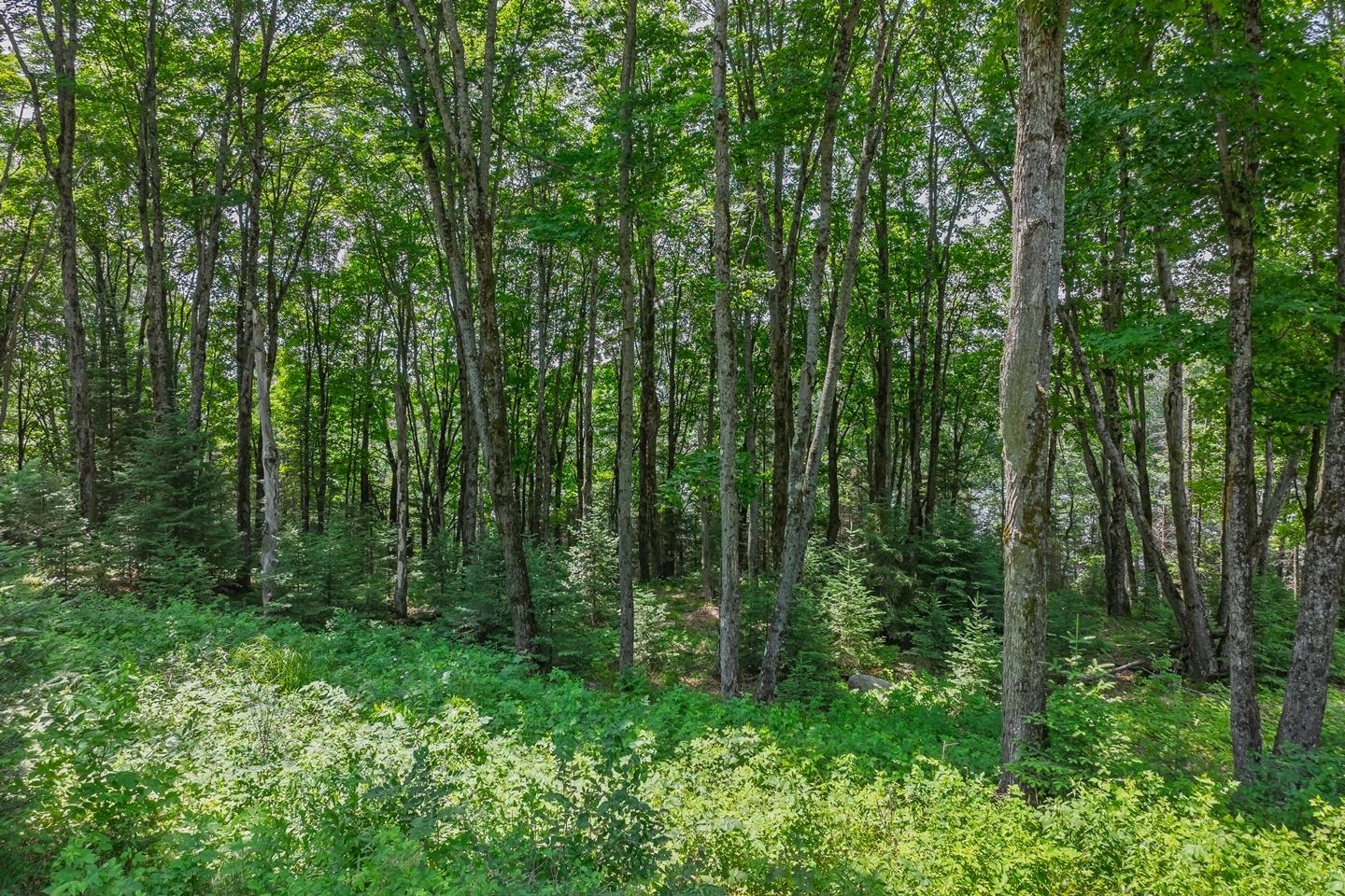 8033 Bowie Road Presque Isle, WI 54557 - Photo 75 of 85
